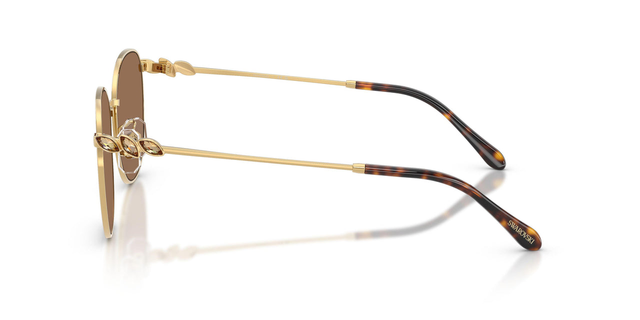 403773 - Gold - Dark Brown