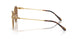 403773 - Gold - Dark Brown