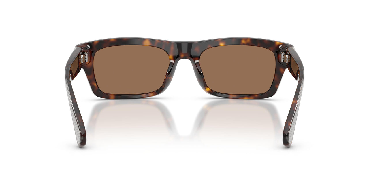 502/73 - Tortoise - Dark Brown