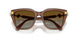 1067T5 - Brown - Gradient Brown Polar