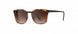 6230 - VINTAGE HAV./BROWN - SLM red brown gradient