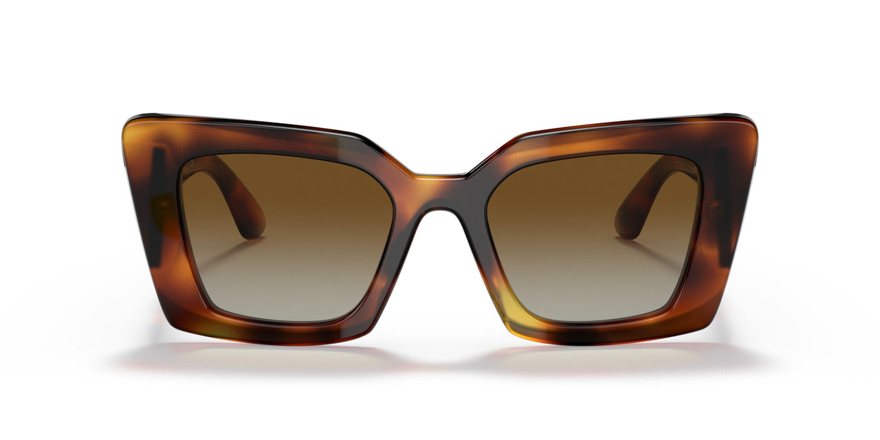 3316T5 - Havana - Polar Brown Gradient