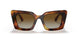 3316T5 - Havana - Polar Brown Gradient