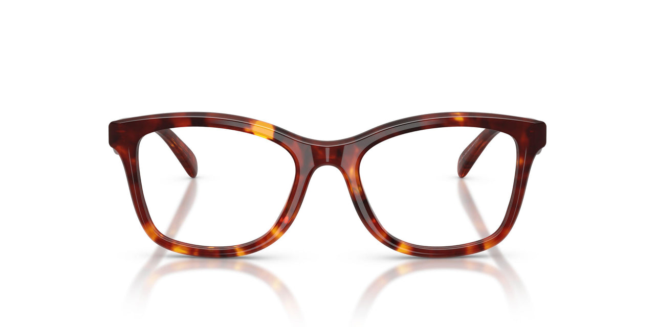 5938 - Tortoise