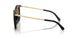 333273 - Brown Solid