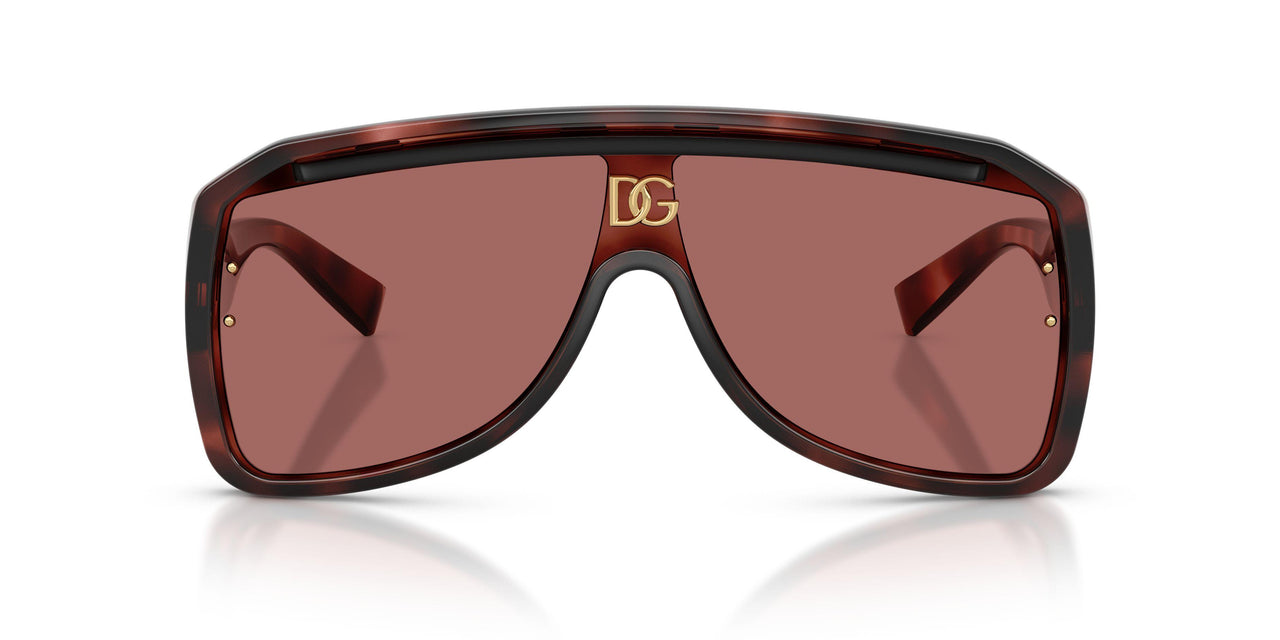 347669 - Tortoise - Dark Violet