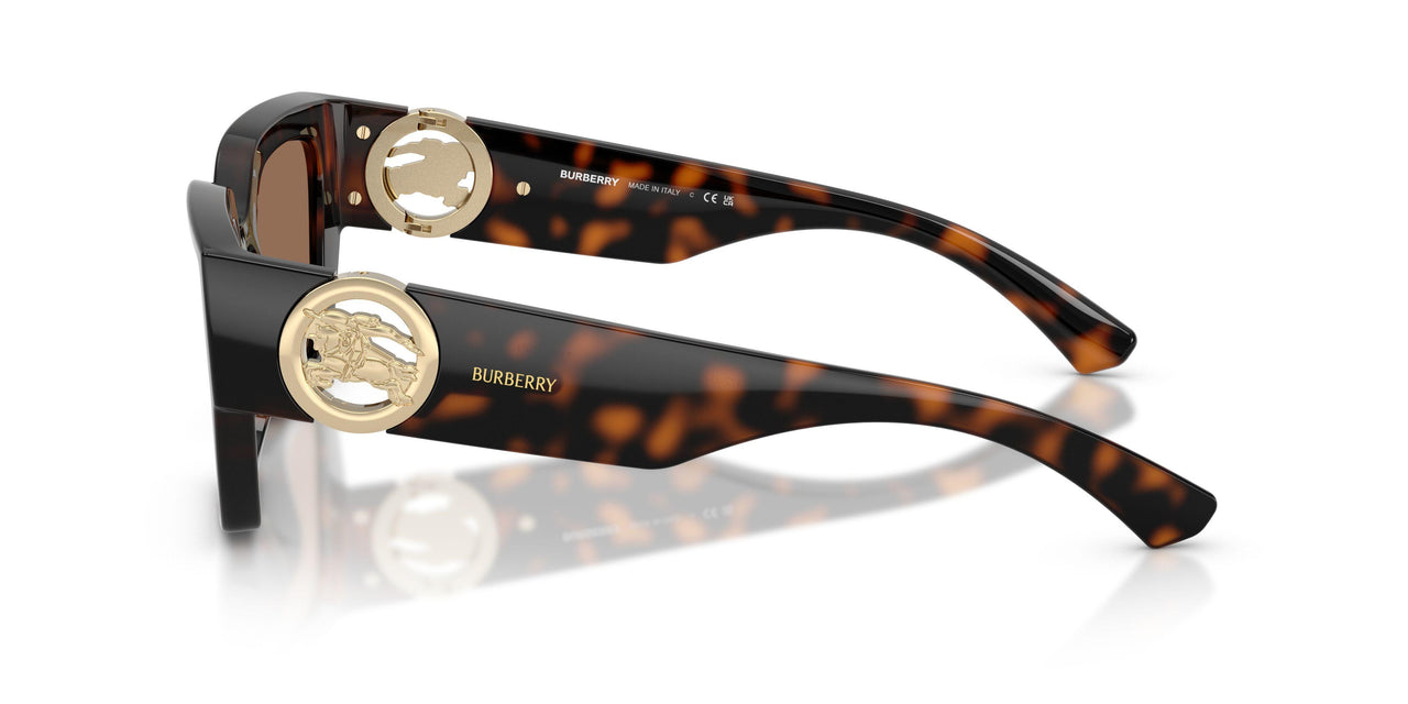 300273 - Brown - Dark Brown