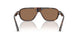 502673 - Tortoise - Dark Brown