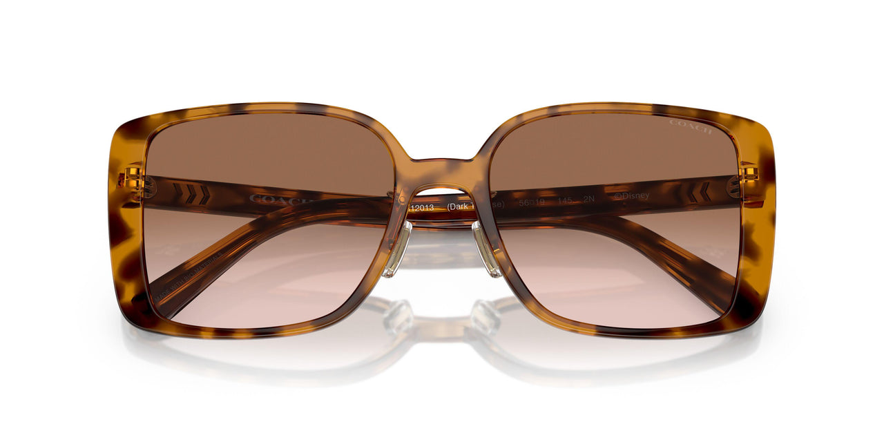 512013 - Tortoise - Brown Pink Gradient