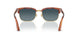 96/S3 - Tortoise - Blue