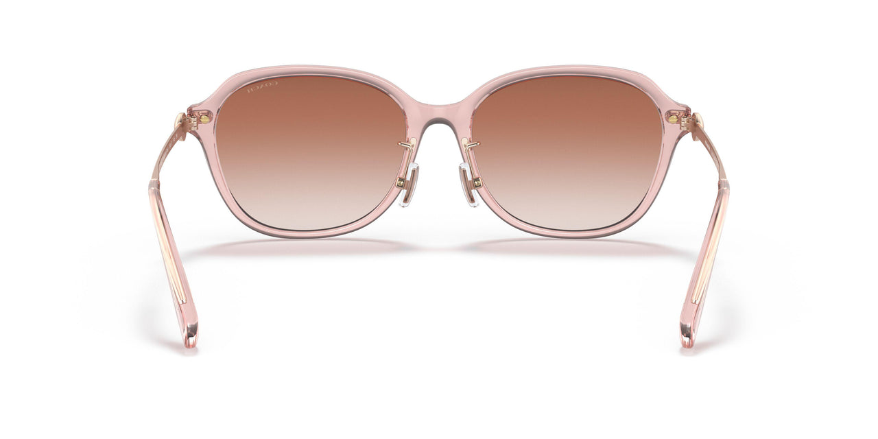 566613 - Pink - Pink Gradient
