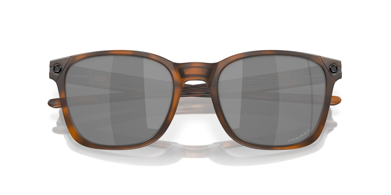 901818 - Brown - Prizm Black