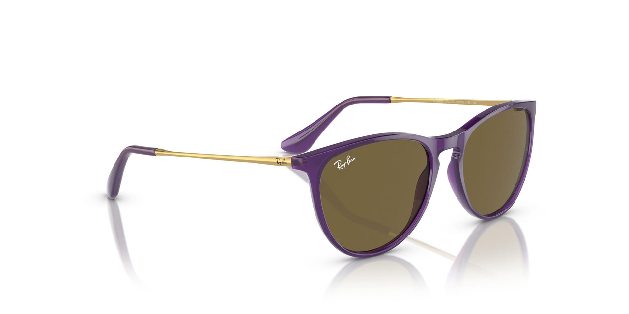 713173 - Violet - Dark Brown