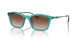835113 - Green - Brown Gradient