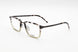 340 - SHINY OLIVE TORTOISE