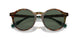 501771 - Tortoise - Bottle Green