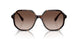 100213 - Tortoise - Brown Gradient
