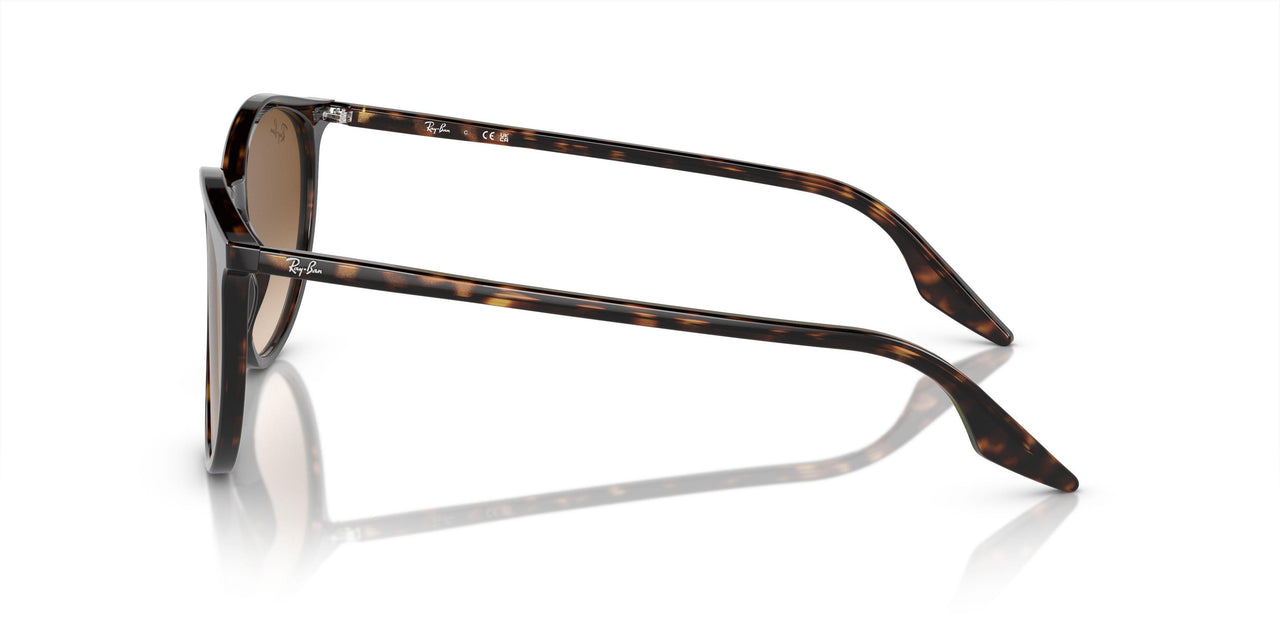 902/51 - Tortoise - Light Brown