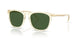 503471 - Yellow - Bottle Green
