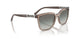 294011 - Brown - Gradient Grey