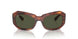 954/31 - Brown - Green