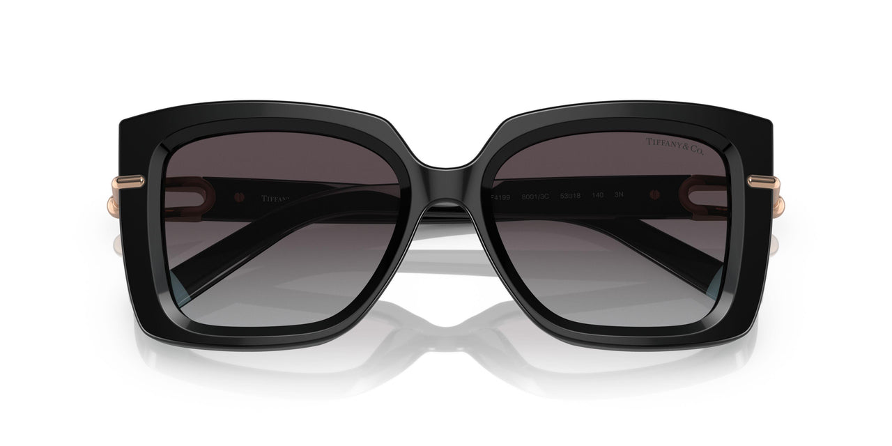 80013C - Black - Grey Gradient
