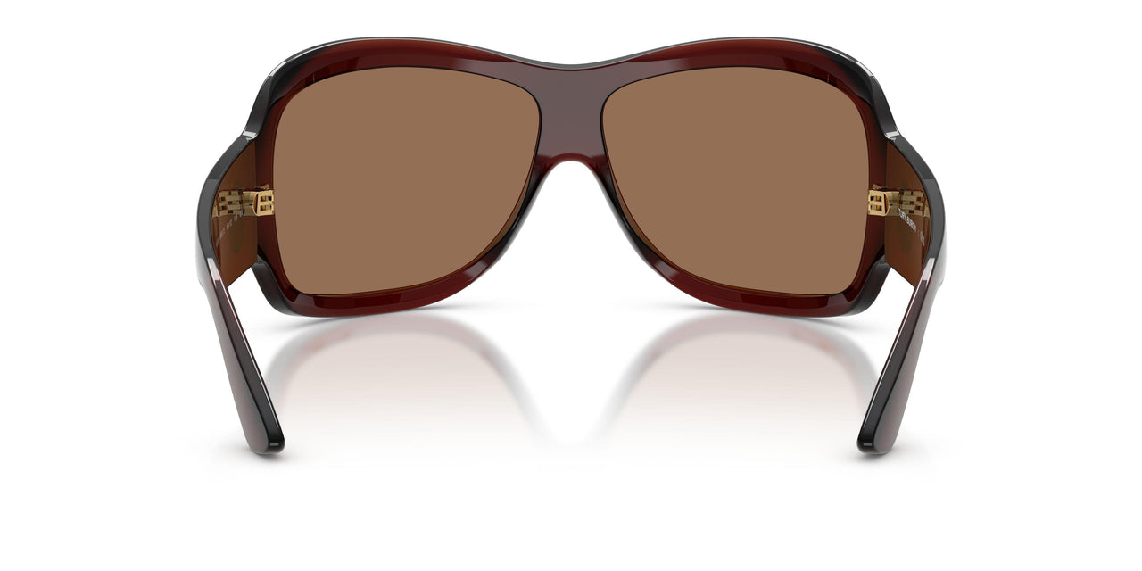 209573 - Brown - Brown