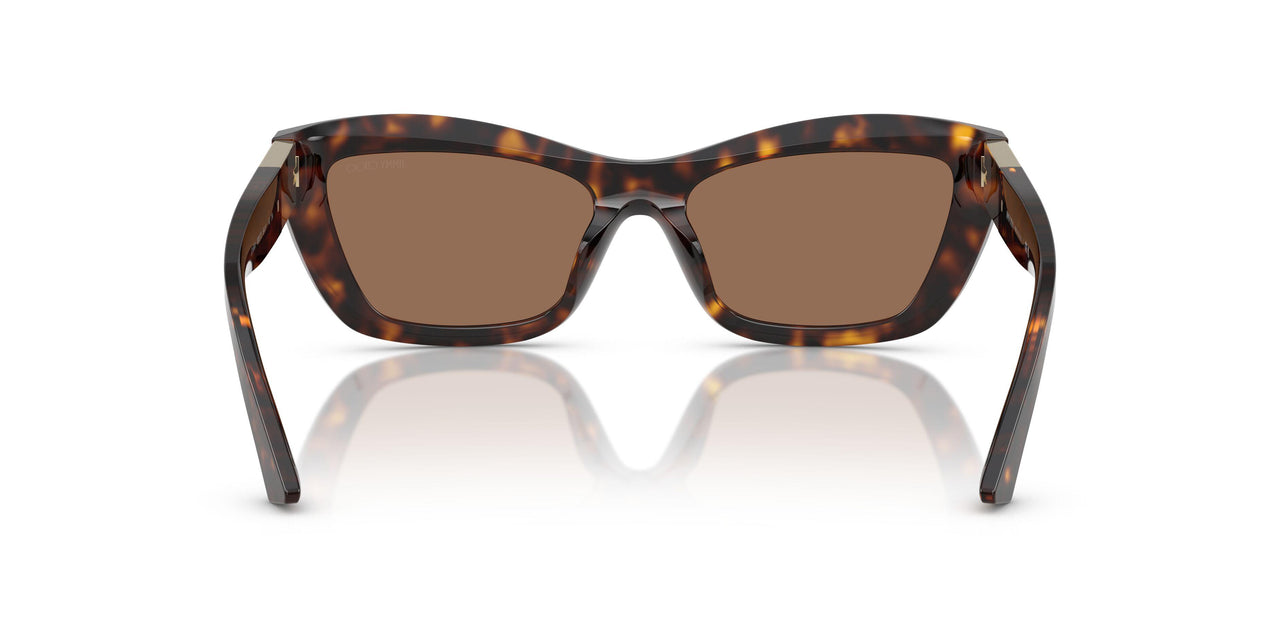 500273 - Tortoise - Dark Brown