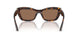 500273 - Tortoise - Dark Brown