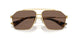 02/73 - Gold - Dark Brown