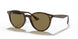 710/73 - Havana - Dark Brown