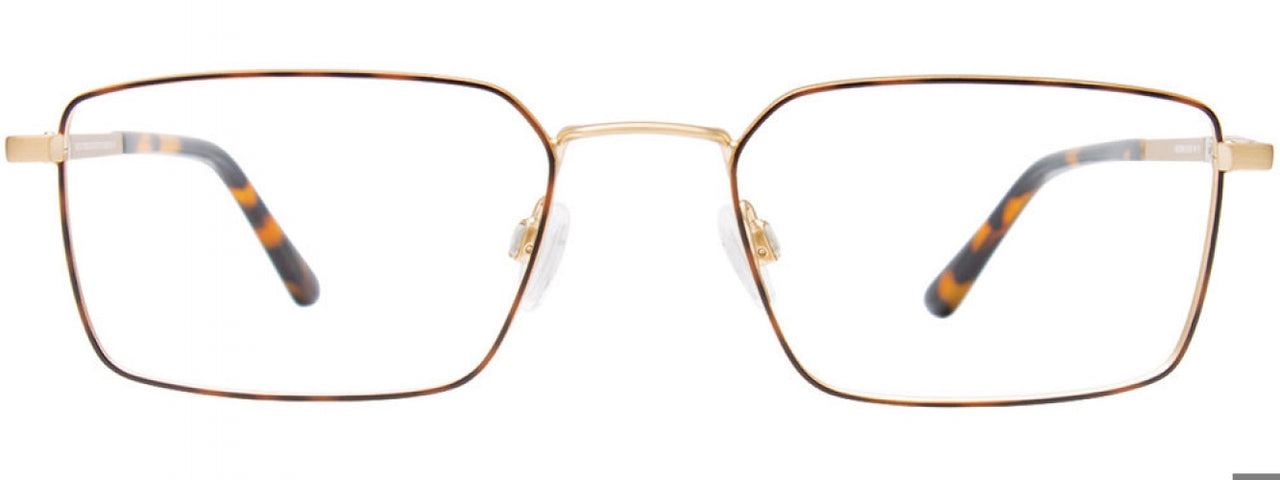 10 - Tortoise & Gold