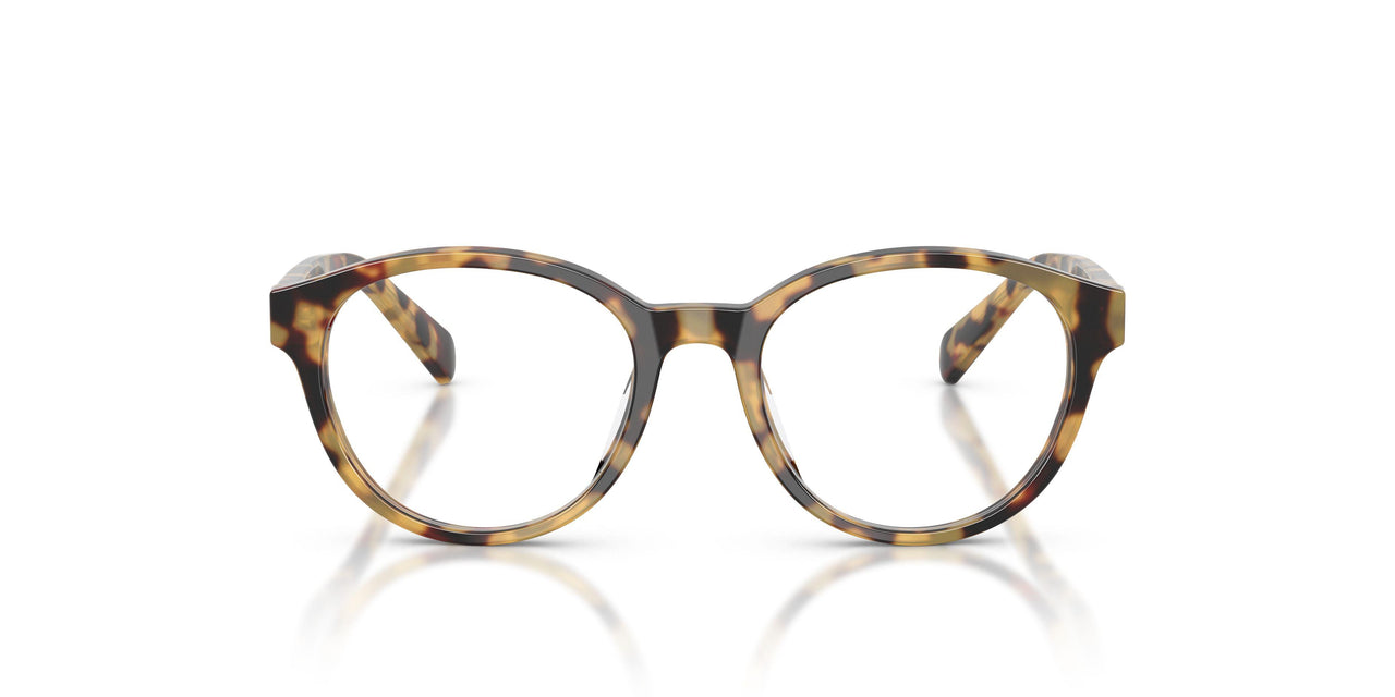 6148 - Tortoise