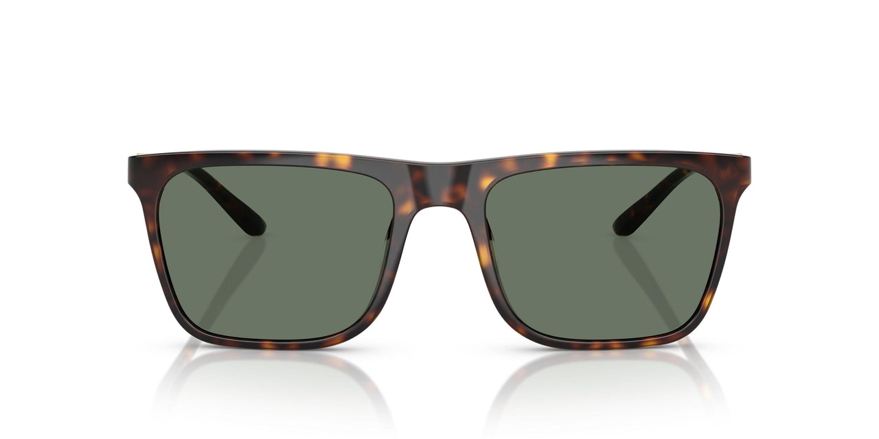 61613H - Tortoise - Dark Green Solid