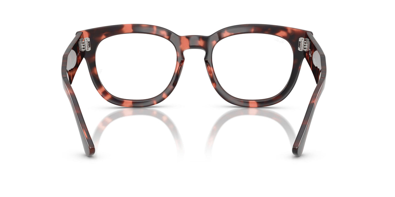 8118 - Tortoise - Clear