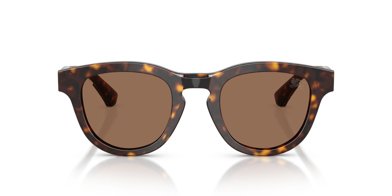 420573 - Brown - Dark Brown