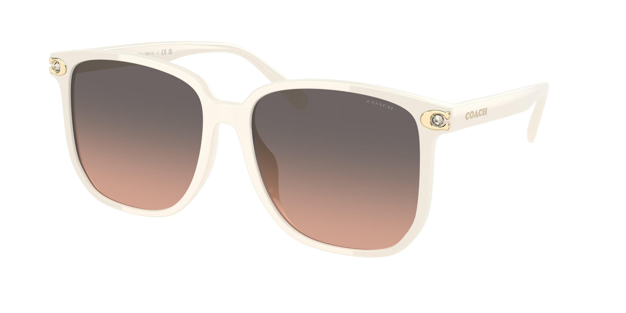 Coach Cw419 8413BD Sunglasses