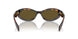 14L09Z - Green - Dark Brown