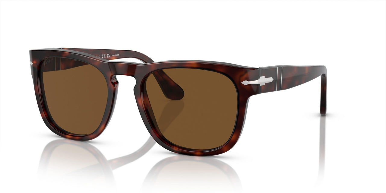 24/57 - Tortoise - Polar Brown