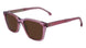 Paul Smith PSSN06352 ELLIS Sunglasses