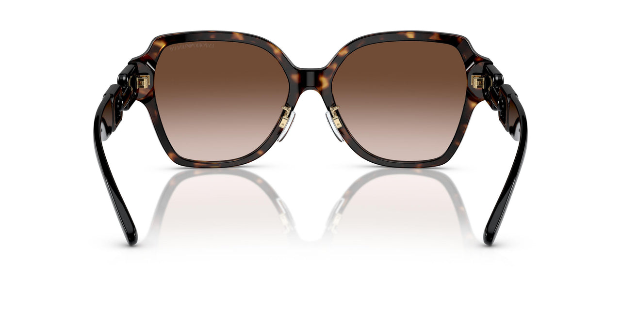 502613 - Tortoise - Gradient Brown