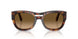 24/M2 - Tortoise - Brown Gradient Brown - Polar