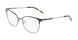DKNY DK1023 Eyeglasses