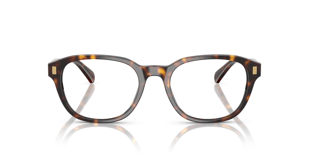 5003 - Tortoise