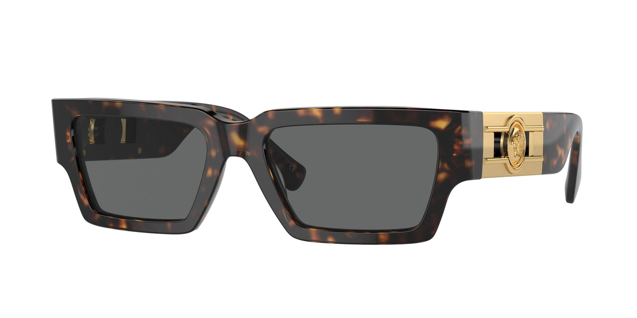 Versace 4459F Sunglasses