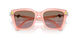 104114 - Pink - Dark Brown Dark Pink Grad