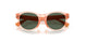 636671 - Pink - Dark Green