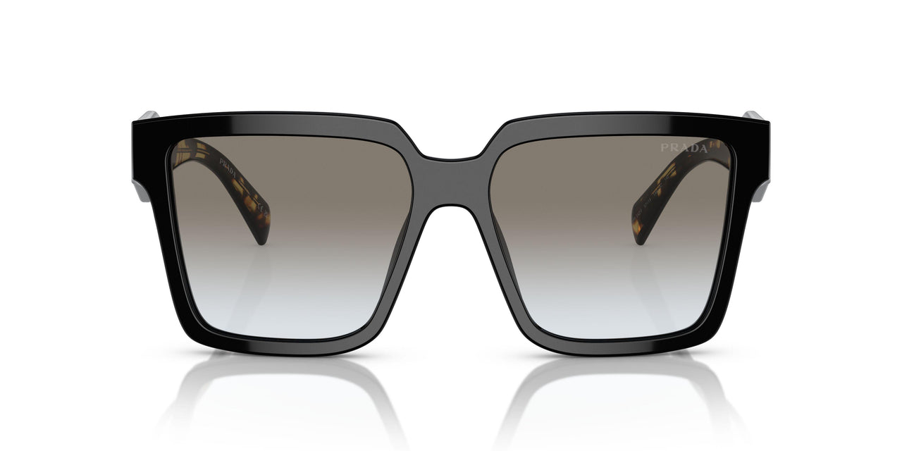 1AB0A7 - Black - Grey Gradient