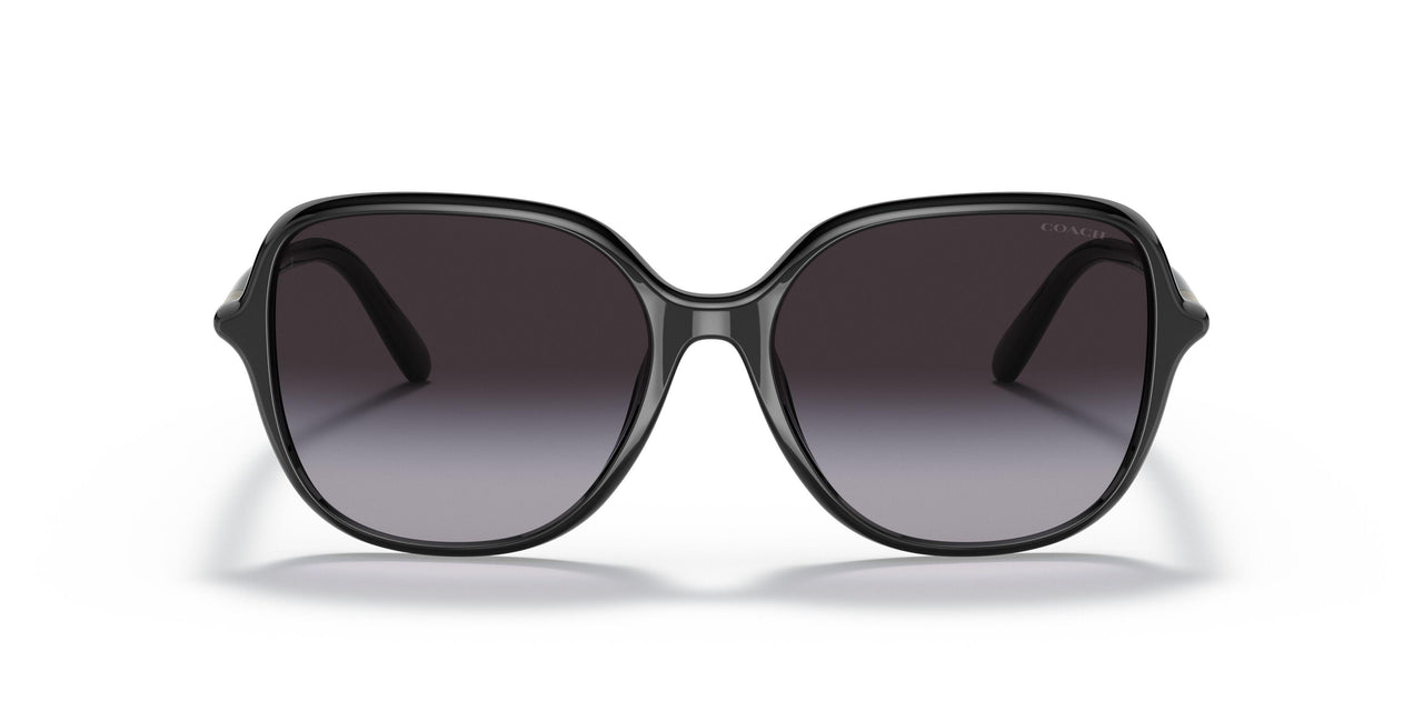 50028G - Black - Grey Gradient