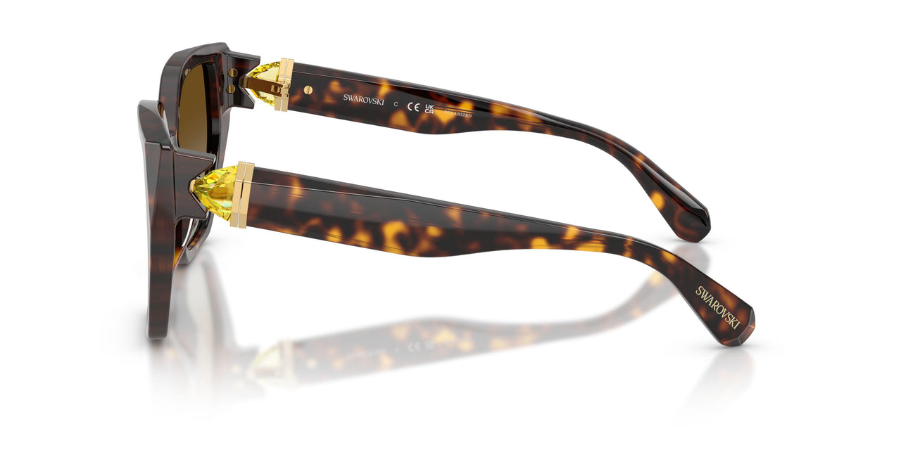 1002T5 - Tortoise - Brown Gradient Polar